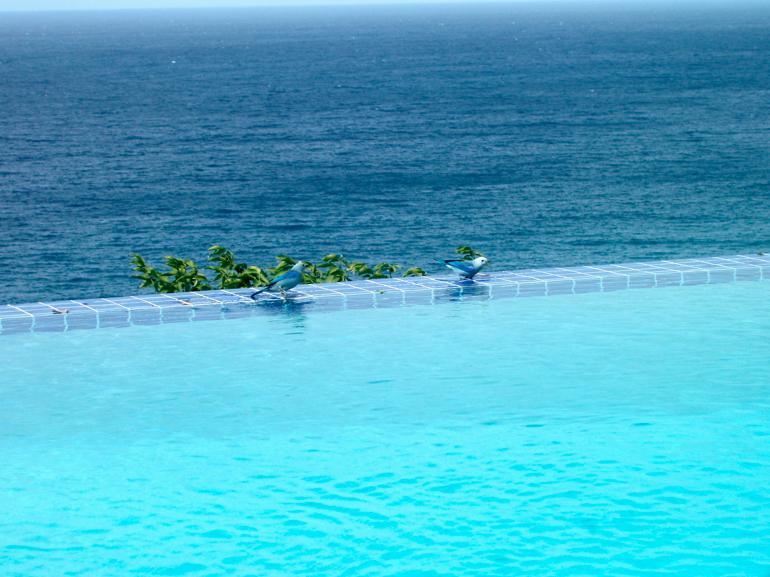 Being Villa Plymouth Ngoại thất bức ảnh